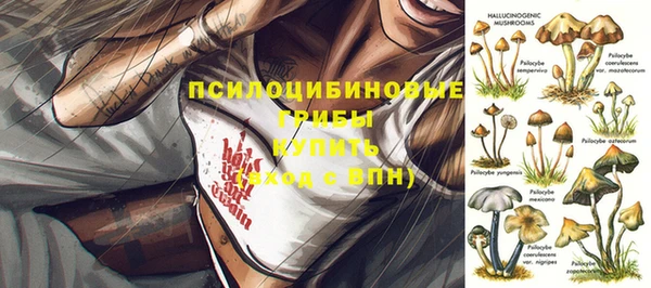 таблы Вязьма