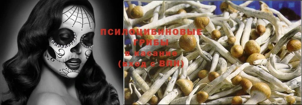 твердый Вязники